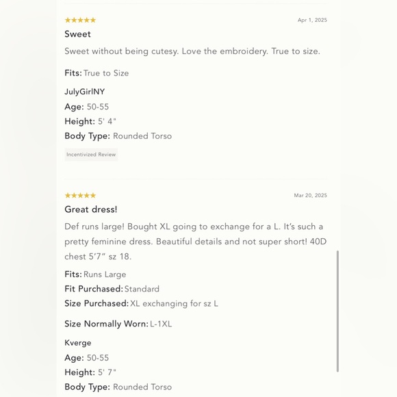 NWT XL - Anthropologie 100% Cotton Embroidered Swing Shirt Dress - Picture 12 of 16